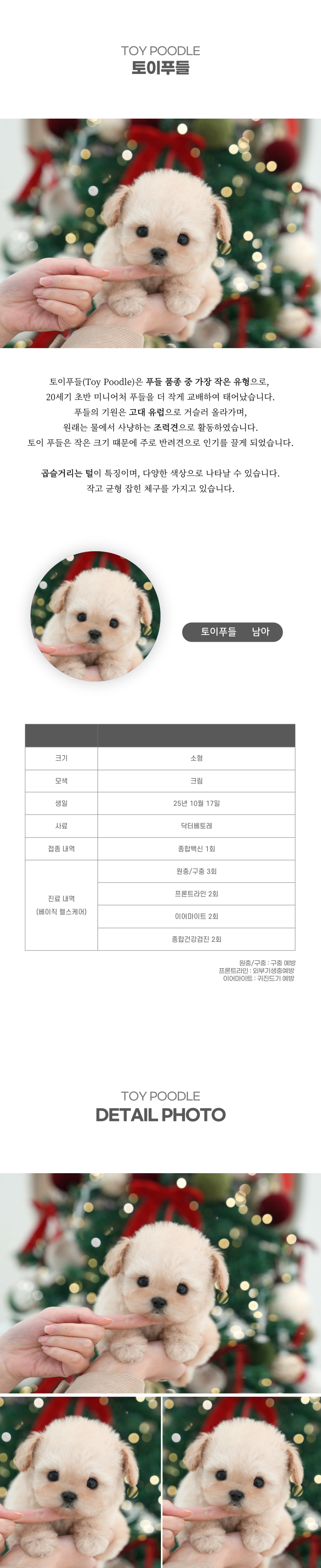 토이푸들_상세이미지_2